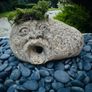 Stone decorative Image 10