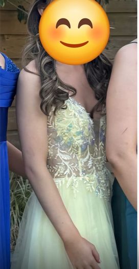 Debs TY Ball Dress