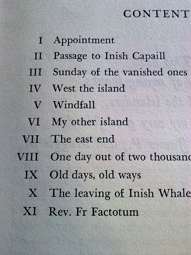 Seven year island by Jerome Kiely