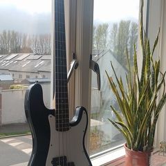 bass