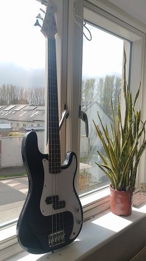 bass