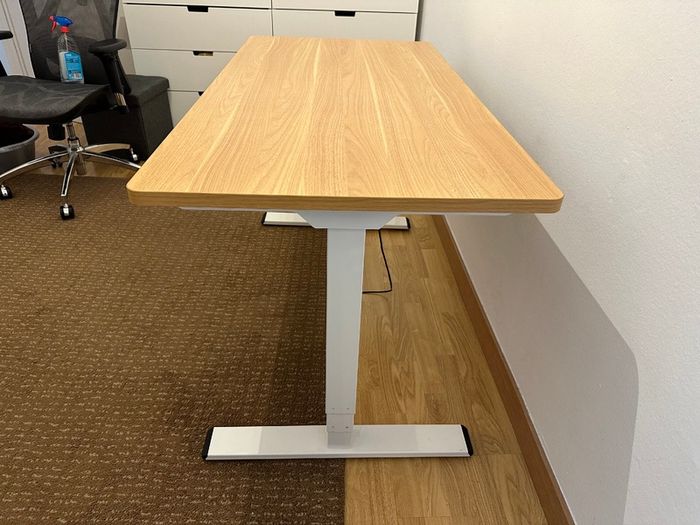FlexiSpot EQ5 Electric Standing Desk