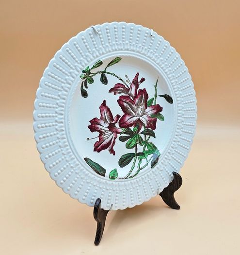 Cauldon England Collectible Botanical Plates , Decorative Plate