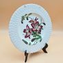 Cauldon England Collectible Botanical Plates , Decorative Plate Image 3