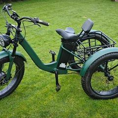 electric trike