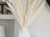 White Pampas Grass Fluffy Small Pampas Grass, Dried Pampass Grass Artificial Flowers Plant Decorative Flora For Vase, White Boho Decor Home Bedroom Decorations, Pompous Grass 30 Stems 45cm/17.7