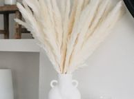main image for ad White Pampas Grass Fluffy Small Pampas Grass, Dried Pampass Grass Artificial Flowers Plant Decorative Flora For Vase, White Boho Decor Home Bedroom Decorations, Pompous Grass 30 Stems 45cm/17.7