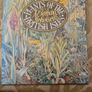 Plants Of The British Isles. By Barbra Nicholson. Beautiful Illustrated Large Volume Hardback With Dustjacket In Very Good Condition. Make Lovely Christmas Present.33. Image 2
