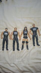 NWO figures