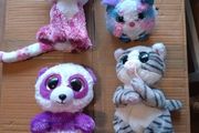 TY teddies collection