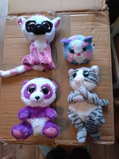 TY teddies collection