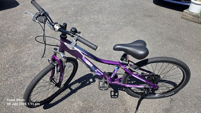 Giant 24" Hybrid Bike  8 Speed