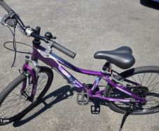 Giant 24" Hybrid Bike  8 Speed
