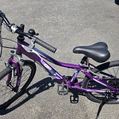 Giant 24" Hybrid Bike  8 Speed