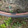 Fixie, single speed wheels. Image 6