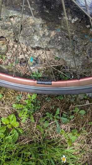 Fixie, single speed wheels.