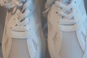 ladies trainers