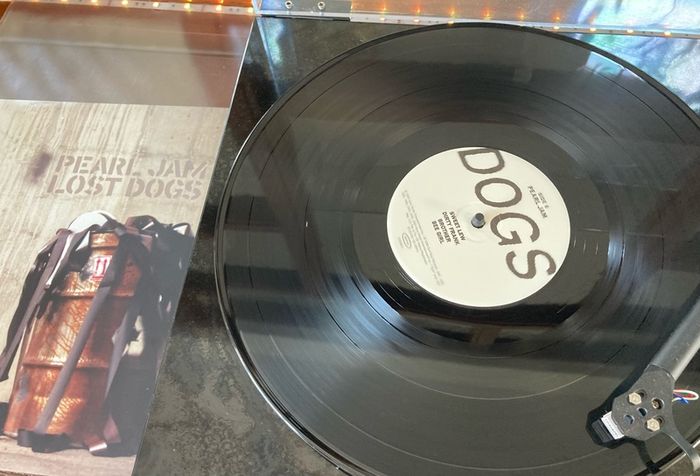 Pearl Jam - Lost Dogs