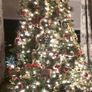 Christmas Tree Image 4