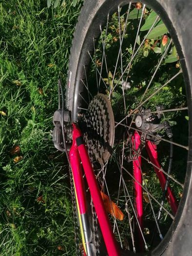 Specialized 24" kids' bike