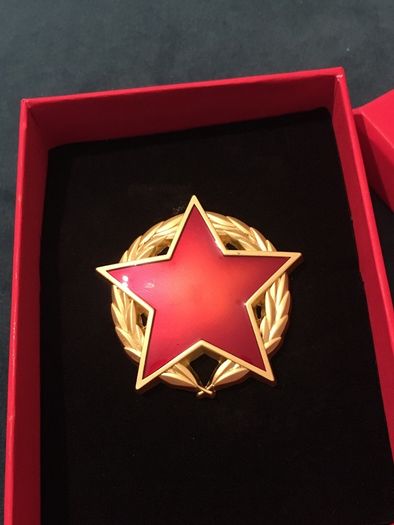 Pin