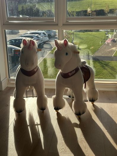 2 Unicorn riding ponies
