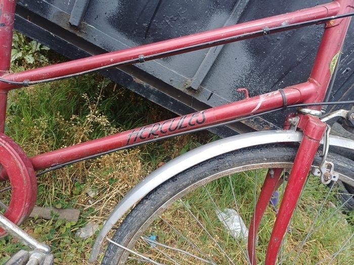 ladies bike