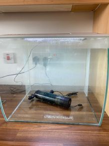 60 litre fish tank