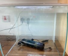 60 litre fish tank