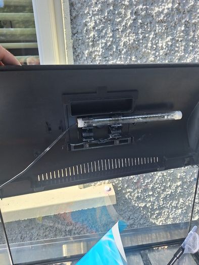 Free Fish Tank
