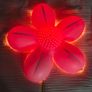 Ikea flower wall lamp and 2x 3d butterfly frames Image 2