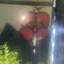 aquarium Image 7