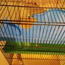 Large hamster cage - gerbil mouse rat rabbit guinea pig crate kennel  house Image 6