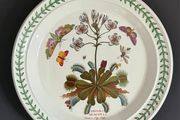 Portmeirion Botanic Garden Venus Fly Trap Dinner Plate 27cm Vintage England 1972+