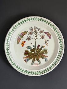 Portmeirion Botanic Garden Venus Fly Trap Dinner Plate 27cm Vintage England 1972+
