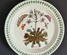 Portmeirion Botanic Garden Venus Fly Trap Dinner Plate 27cm Vintage England 1972+