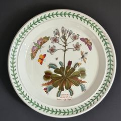 Portmeirion Botanic Garden Venus Fly Trap Dinner Plate 27cm Vintage England 1972+