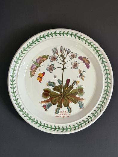 Portmeirion Botanic Garden Venus Fly Trap Dinner Plate 27cm Vintage England 1972+