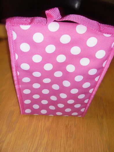 Insulated Lunch Bag for Sale