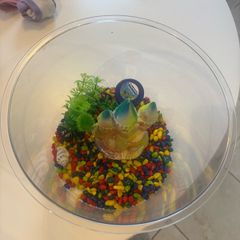 fish bowl