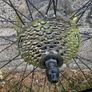 28" touring bike wheel set (8speed) Image 2