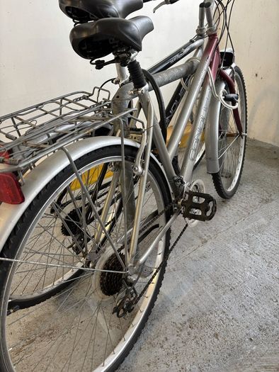ladies bicycle