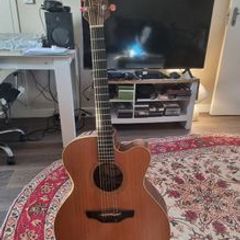 Takamine EN20