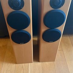 Sony 150 watt Floor Standing