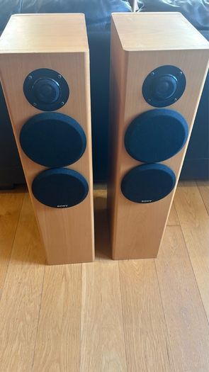 Sony 150 watt Floor Standing
