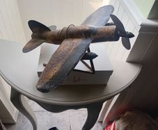 tin plane