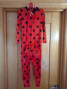 Miraculous Ladybug Costume