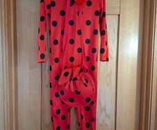 Miraculous Ladybug Costume