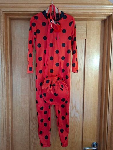 Miraculous Ladybug Costume