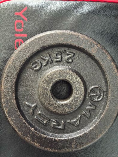 Weight Plate Set (including plate holder)